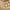 White, variant on Tahtuvzn Home Decor LED Wooden Shells Star Light String Underwater Decorative Copper Window Decoration Color 4.92Ft 10Lights, Christmas Gifts