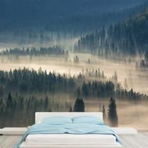 wall26 - fir Trees on a Meadow Down The Will to coniferous Forest in Foggy Mountains - Removable Wall Mural | Self-Adhesive Large Wallpaper - 66x96 inches