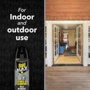 Raid MAX Indoor & Outdoor Spider & Scorpion Killer Bug Spray, 12 oz
