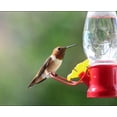 thumbnail image 3 of VIMOA Mini Hummingbird Feeder Small 4 Pack Tulip Type Plastic Tiny Feeders for Outdoor Lightweight Safer, 3 of 10