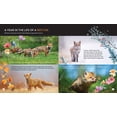 thumbnail image 5 of Créature Cérébrale : le Renard Roux, 5 of 5