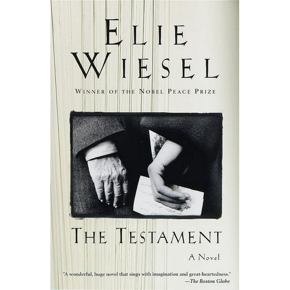 The Testament : A novel (Paperback)