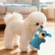 thumbnail image 5 of Lettuce Pets Squeaky Dog Plush Toy, Soft & Durable Interactive Chew Toy for Small, Medium, and Large Dogs, 5 of 5
