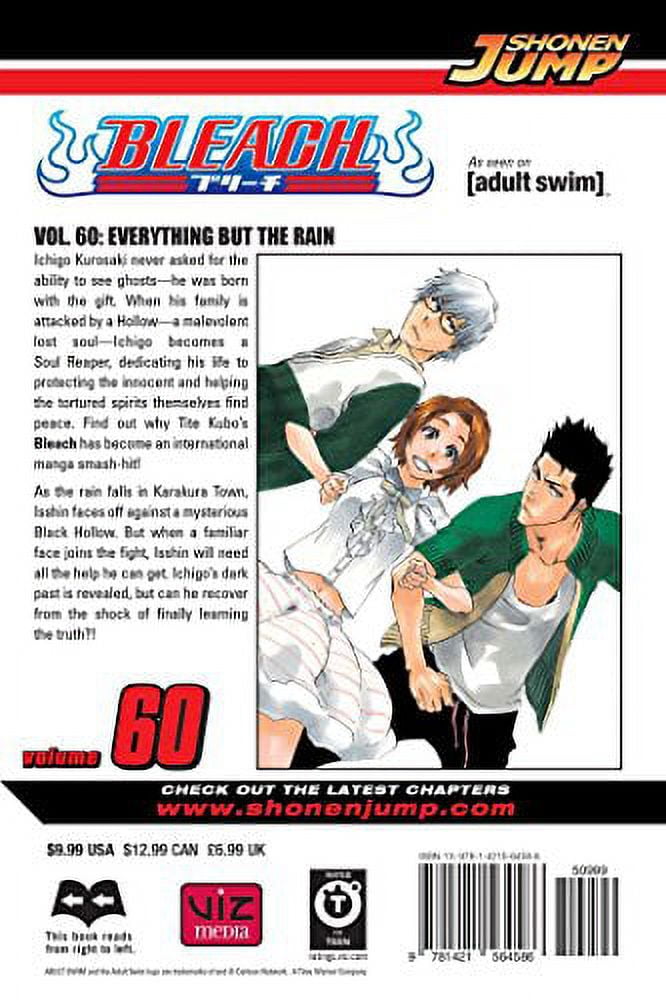 Bleach, Vol. 60, (Paperback) - Walmart.com