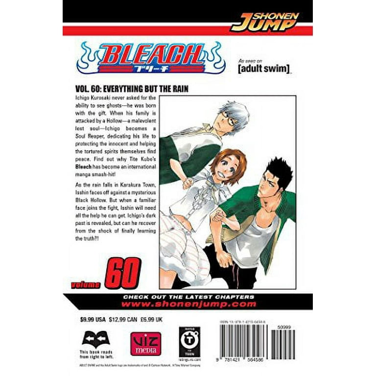 Bleach, Vol. 60, (Paperback) - Walmart.com