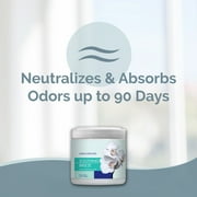 SMELLS BEGONE 15oz Odor Absorber Gel - Air Freshener & Odor Control - Soothing Breeze Scent