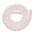 thumbnail image 4 of Natural Cultured Freshwater Pearl Beads Strands Round Creamy White 5.5~7mm Hole: 0.5mm 60~69pcs/strand 14.65 inch~15.63 inch(37.2~39.7cm), 4 of 5