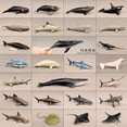 thumbnail image 1 of Sea World Mini Fishes Model Great White Shark Blue Whale Beluga Sperm Whale Dolphin Manta Rays Oceans Animal Miniature Kids Toys7. sperm whale He Qiyong unisex, 1 of 1