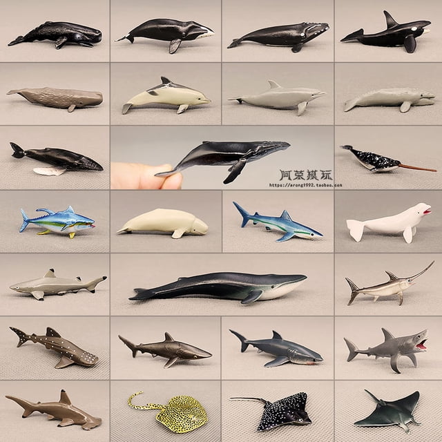 Sea World Mini Fishes Model Great White Shark Blue Whale Beluga Sperm Whale Dolphin Manta Rays Oceans Animal Miniature Kids Toys7. sperm whale He Qiyong unisex