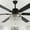 Black, variant on Bella Depot 65" Modern Black Crystal Ceiling Fan 6-Speed Reversible Chandelier With Light and Remote Control