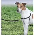 thumbnail image 2 of Arnés Para Perro Easy Walk Marca Pet Safe Talla Chica/médium, 2 of 5
