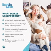 BestLife4Pets Cat Eye & Vision Support - Daily Wellness Supplement for Cats & Kittens