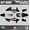 Blue-shift, variant on Kalair GFX Graphics Kit for Beta Xtrainer RR,RX,RR-S 250,300 (2023) Rift Series