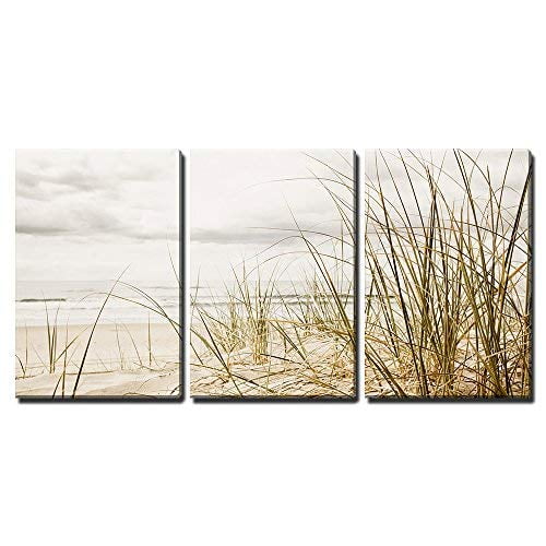 wall26 - 3 Piece Canvas Wall Art - Close up of a Tall Grass on a Beach During Stormy Season - Modern Home Art Stretched and Framed Ready to Hang - 16"x24"x3 Panels