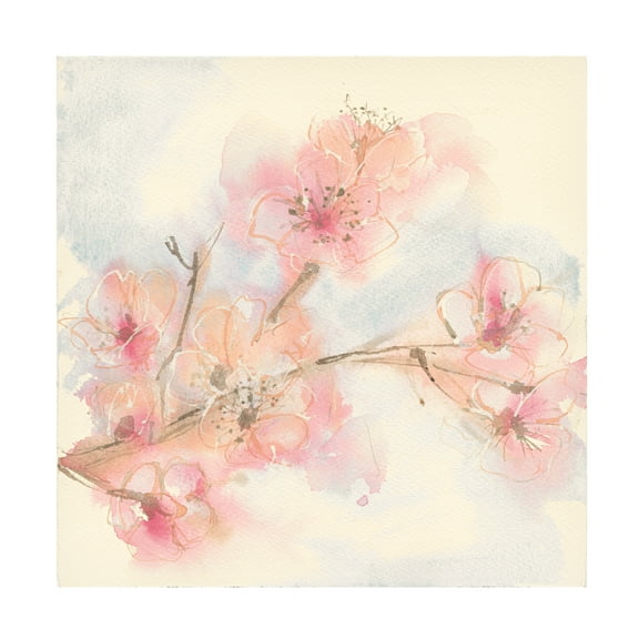Trademark Fine Art 'Pink Blossoms II' Canvas Art by Chris Paschke