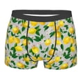 thumbnail image 4 of Goofa Lemon1 Printed Men's Boxer Briefs Underwear, Moisture-Wicking Underwear, Trunk,Soft and Breathable Cotton Underwear-, 4 of 9