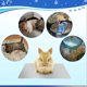 thumbnail image 4 of Rabbit Cooling Pad, 11.8x7.9 in Hamster Cooling Mat Pet Cool Plate for Rabbit Bunny Hamster Guinea Pig & Other Small Pets Stay Cool This Summer - Bite Resistance Pet Cooling Pad Ice Bed, 4 of 5