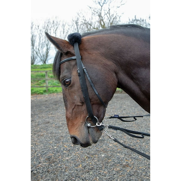 Shires Lunging Adaptor