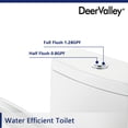 DeerValley Dual Flush Elongated 0.8/1.28GPF Water Efficient OnePiece