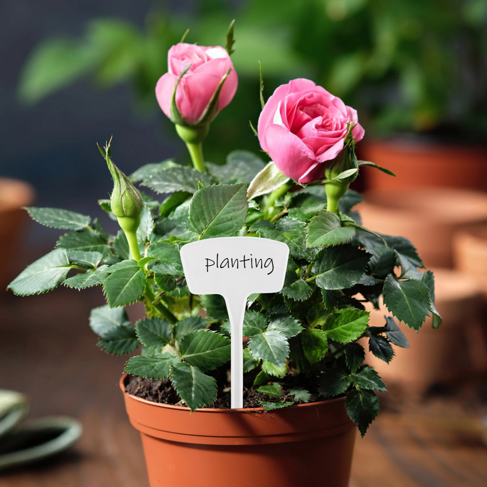100PCS 27cm/10.63" Large White Plant Markers for Outdoor Garden, Waterproof T-Type Garden Tags, Reusable Plastic Labels, Ideal for Outdoor Plant Identification