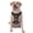 With Accessories, variant on Vsdgher Chemistry Tools 1 Pattern Dog Harness,No Pull Pet Harness with Soft Padded Handle,Adjustable Reflective Vest with 2 Buckles,4 Slide Buckles,S-XL X-Large
