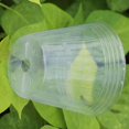 thumbnail image 4 of 20 macetas transparentes para vivero, recipiente para nutrición de plantas, recipiente para propagación de orquídeas, bolsa para plántulas, recipiente para nutrición, maceta para flores, 5 x 5 x 3,5, 4 of 5