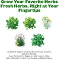 thumbnail image 2 of Epic Gardening Organic Herb Garden Seed Bundle, 5 Non-GMO Varieties for Cooking & Seasoning, Includes Basil, Cilantro, Dill, Chives & Parsley, Non-GMO Seeds, 2 of 6