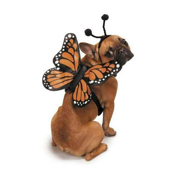 Zack & Zoey Butterfly Glow Harness Costume for Dogs, Small
