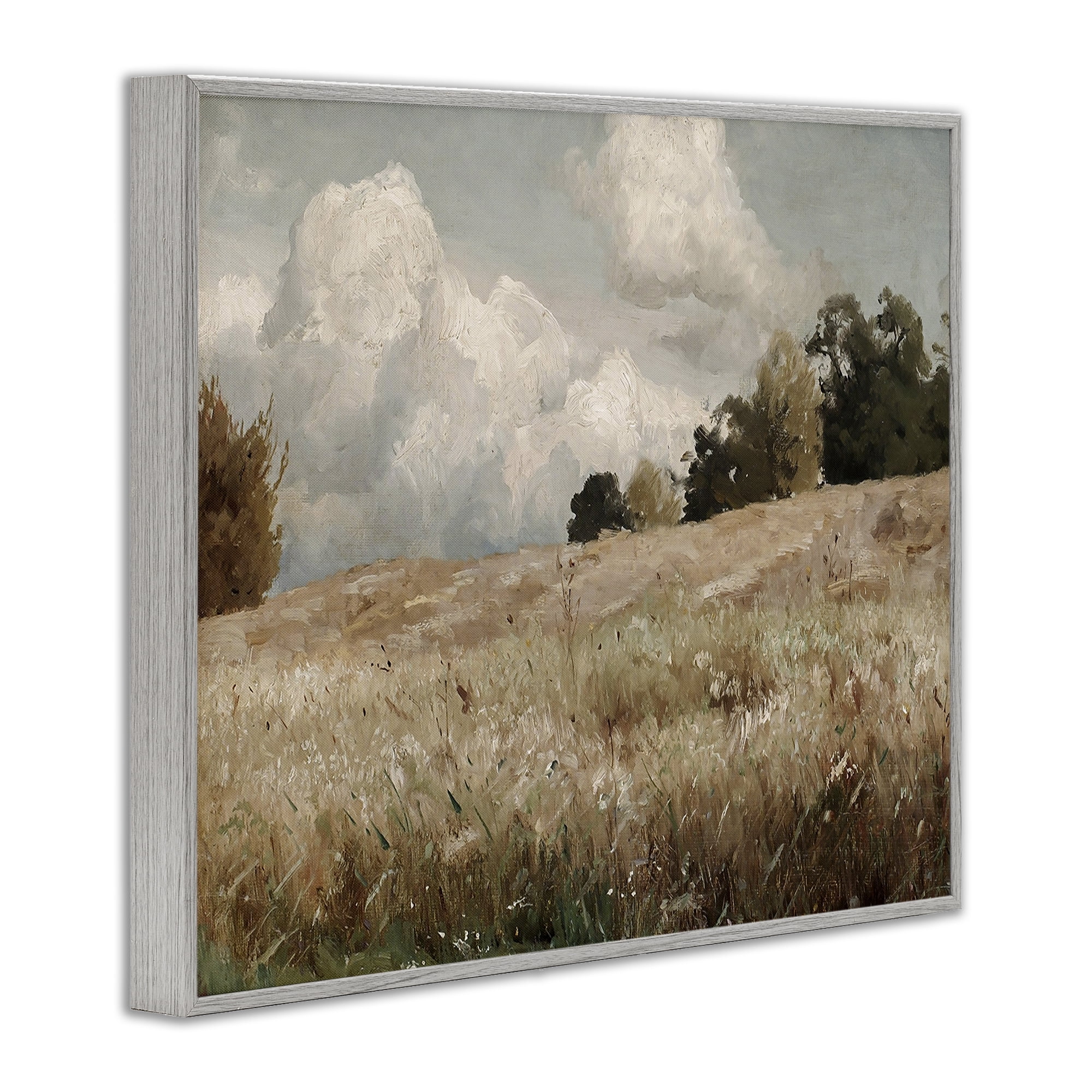 Classic Cloudy Field Landscape Gray Framed Giclee Art, 14 x 11