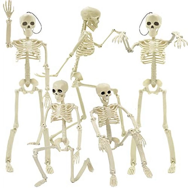 5 Esqueletos de Halloween de 16 con Articulaciones Móviles.