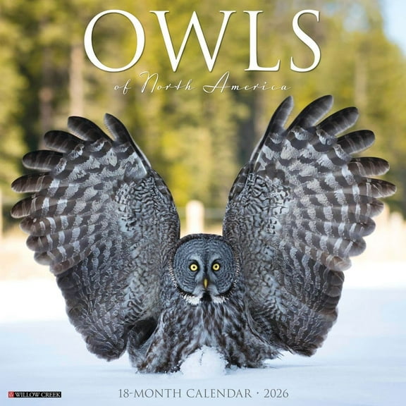 Willow Creek Press, Owls 2026 Wall Calendar, 12'' X 12'', 18-Month Calendar with Stapled Binding