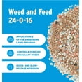 thumbnail image 2 of Premium Weed and Feed 24-0-16 - Covers up to 5,000 sq ft (18 lb), 2 of 6
