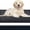 Bluish Grey & Charcoal, variant on Dirt Trapping Door Ma, Non-Slip Machine Washable Entryway Rug, Entrance Mat, Indoor Front Door Mat, Super Absorbent Entry Rug for Muddy Shoes & Paws
