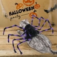 thumbnail image 3 of EUDIDV Creepy Props Halloween Pet Clothes Big Spider Transformation Costume Dog Costume Costume Pet Transformation Costume Funny Costume Spooky Ornaments, 3 of 4