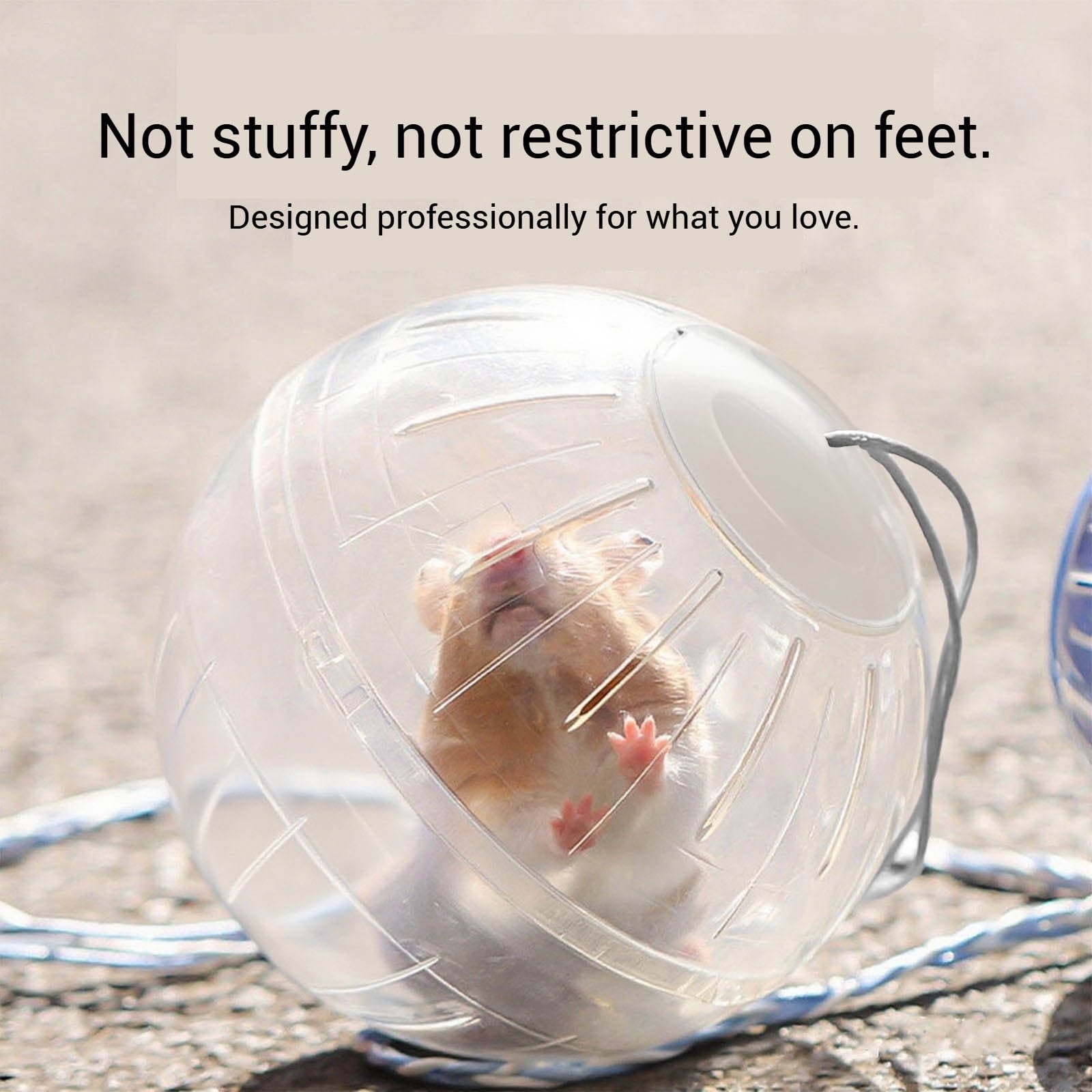 Transparent Interactive Hamster Exercise Small Animal Activity Training Toy for Enrichment and Physical Movement Stimulation