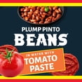 thumbnail image 6 of (3 Pack) Ranch Style Canned Pinto Beans, Real Western Flavor, 15 oz, 6 of 9