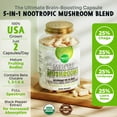 thumbnail image 2 of MAJU's Organic Mental Mushroom Capsules, 90 Count - Edible Extract Supplement w/ Lion's Mane, Cordyceps, Reishi & Chaga for Focus, Wellness & Immune Health, 2 of 7