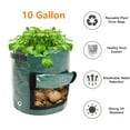 thumbnail image 3 of 5 Pack 10 Gallon Potato Grow Bags with Flap Window & Sturdy Handles, Garden Vegetables Planting Bag Planter Heavy Duty Growing Container for Tomato Onion Carrot Flowers Fruits, Green, 3 of 6