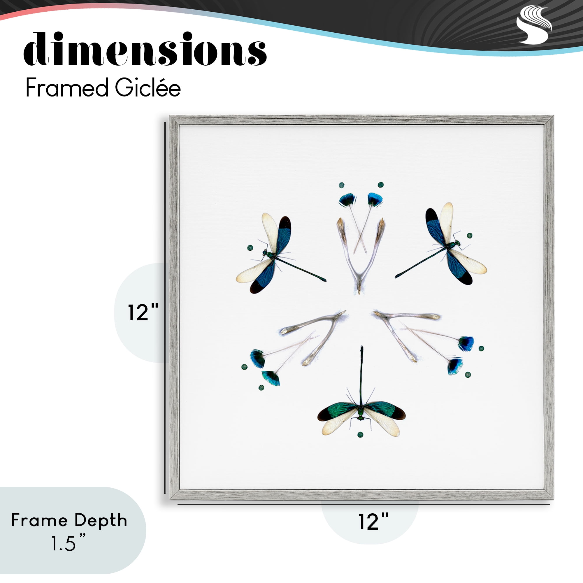 Stupell Industries Simple Dragonfly Symmetry Gray Framed Giclee Art, design by Beth Adoette