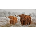 thumbnail image 1 of Highland Cattle Photo License Plate, 1 of 1