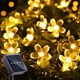 thumbnail image 1 of Guirnalda de 50 luces LED solares para exterior, guirnalda de luces con diseño de flor de cerezo, 50 LED, 2 modos, impermeable, para jardín, patio, Navidad, decoración de interiores, blanco cálido [Cl, 1 of 5