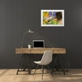 thumbnail image 3 of Lord, Fred 18x13 White Modern Wood Framed Museum Art Print Titled - CO, Leadville Rufous hummingbird feeding, 3 of 4