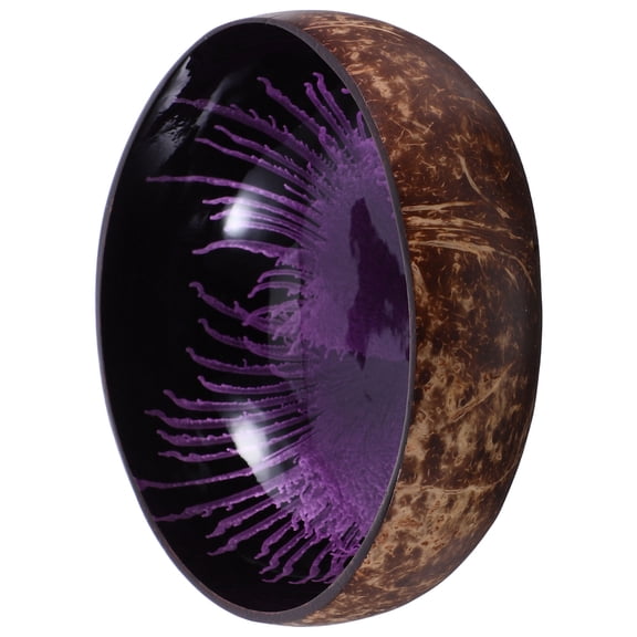 FOMIYES Natural Coconut Shell Decorative Candy Dish and Key Holder Bowl for Entryway Use