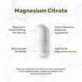 thumbnail image 3 of Suplemento de oferta de citrato de magnesio, 500 mg, 240 cápsulas, 3 of 5
