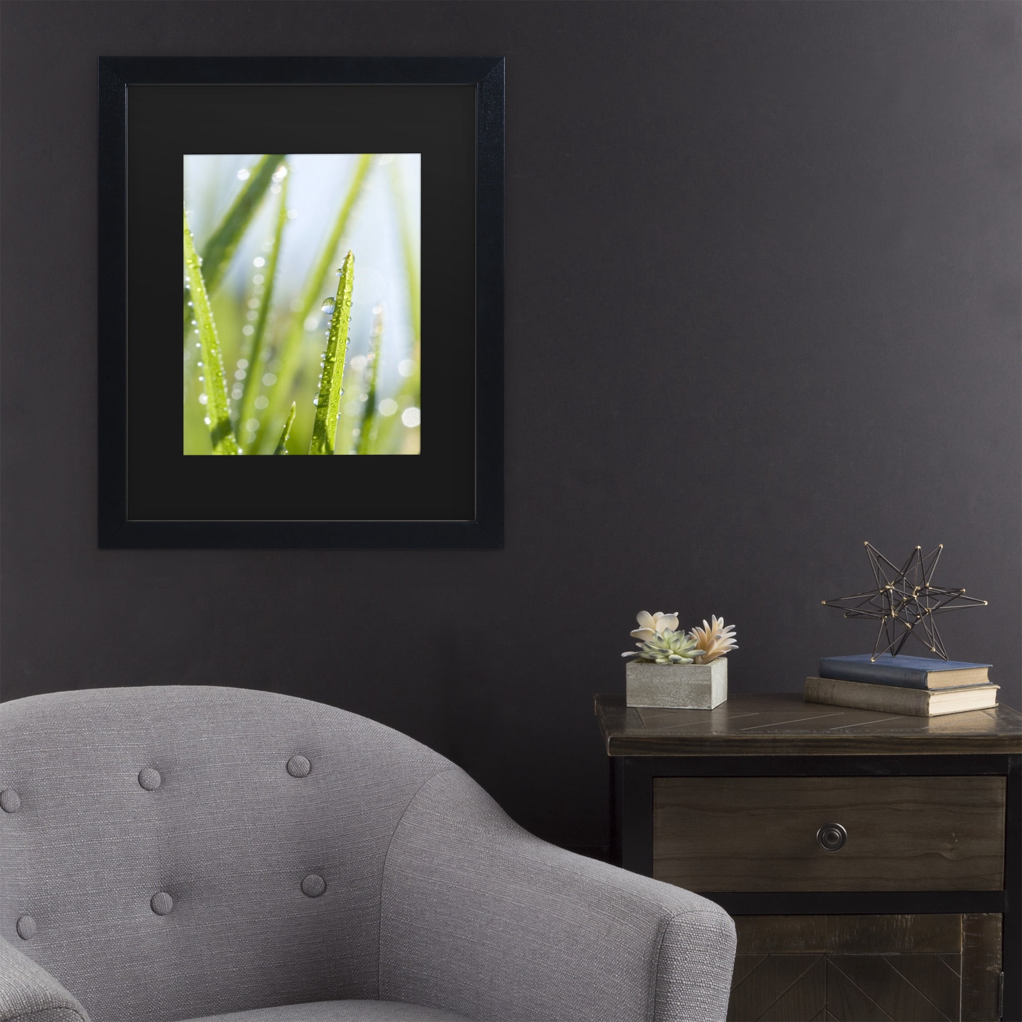 Trademark Fine Art 'Morning Melody' Canvas Art by Beata Czyzowska Young