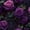 Color 1, variant on Peel and Stick Wallpaper Gothic Garden 23.6in x 9.8ft Self Adhesive Contact Paper Removable