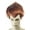 Brown, variant on Morris Costumes LW138GR Men's Big Troll Wig