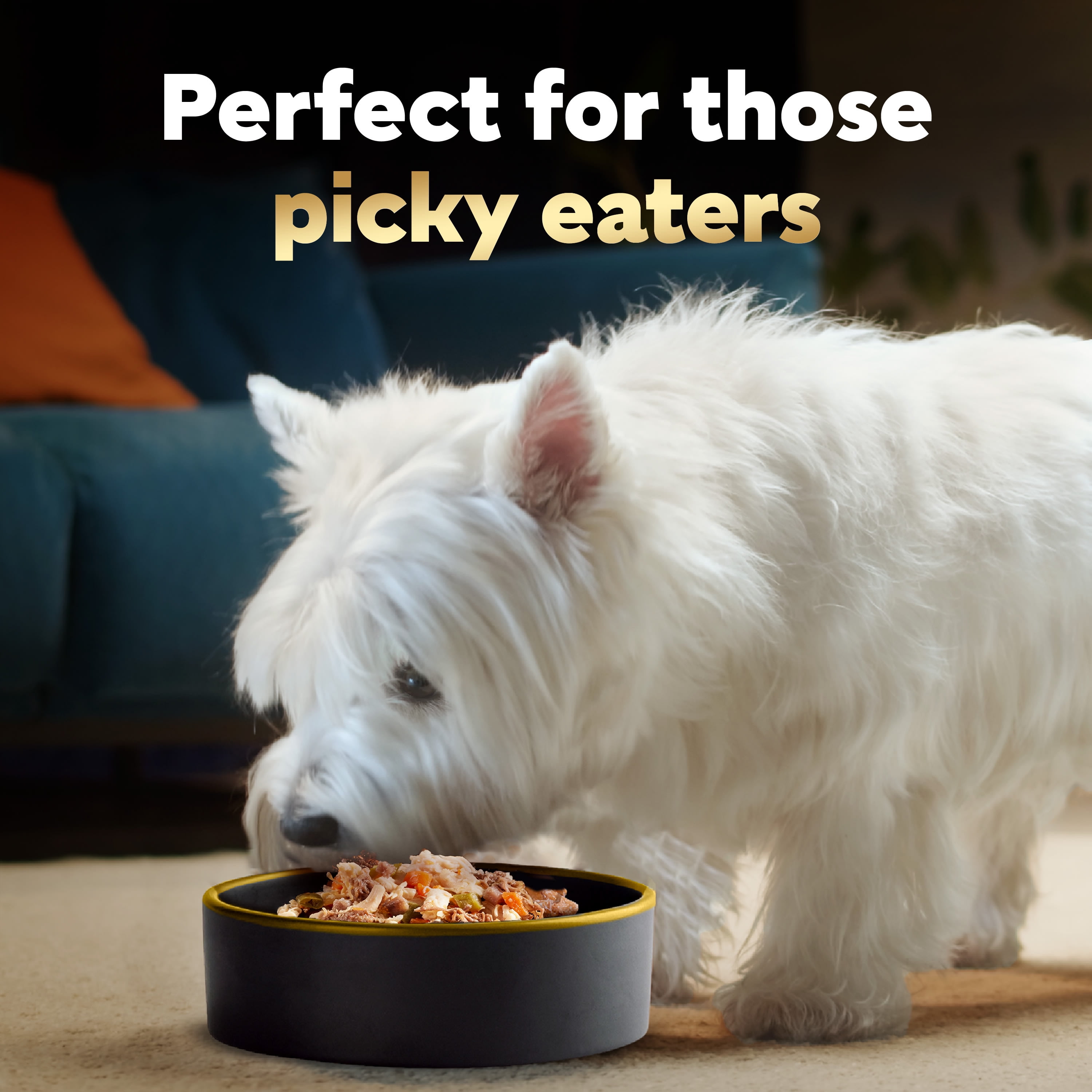 Dog on caesars clearance dog food commercial