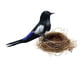 thumbnail image 4 of Simulación de plumas artificiales de espuma para aves, adornos artesanales, foto Urraca, 4 of 8