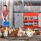 thumbnail image 2 of 6-hole red metal chicken nesting box con stand. heavy-duty galvanized steel roll-away laying box para hens. lockable lid easy egg collection outdoor poultry coop para farm & backyard, 2 of 7
